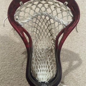 Warrior Noz Head