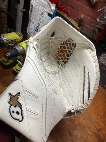Brian’s genetic x5 goalie glove
