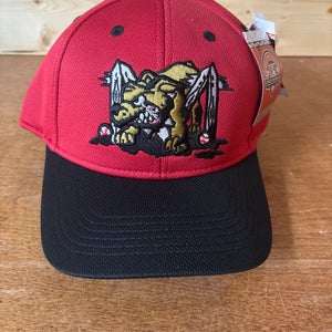 Batavia Muckdogs New One Size Fits All Hat (6 Available)