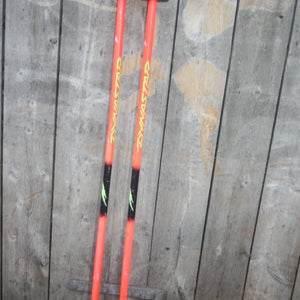 Dynastar Aluminum 45 inch Ski Poles