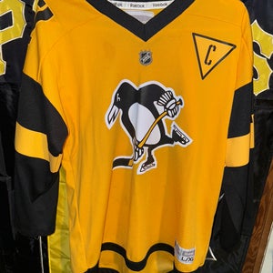 Reebok NHL Stadium Series 2017 Pittsburgh Penguins Sidney Crosby Hockey Jersey.