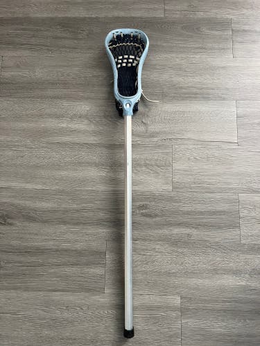 Blue Brine Guru Stick