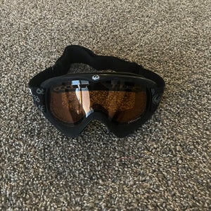 Rare Dragon Ski Goggles