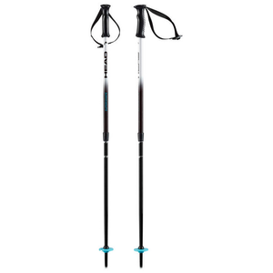 HEAD Supershape kids junior size adjustable ski poles adjusted 85 and 110 cm