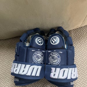 Warrior 14" Pro Stock (Used) Covert Pro Gloves