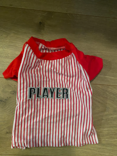Dog T shirt
