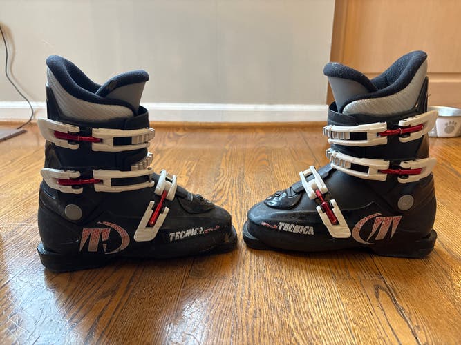 Unisex Tecnica Ski Boots (Used)