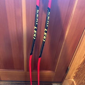 48in (120cm) Racing (Used) World Cup GS 3D Ski Poles