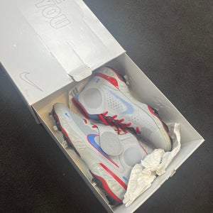 Nike Pro custom baseball cleats size 10