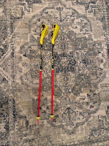 Leki Lite Slalom poles WITH guards