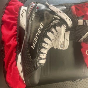 Bauer Vapor Velocity