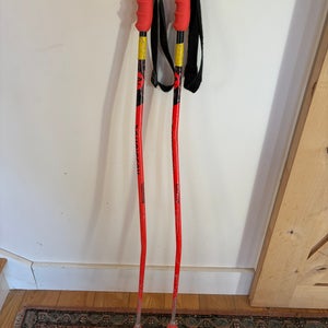 42in (105cm) Rossignol Racing HERO GS/SG Ski Poles (Used)