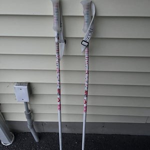 46in (115cm)  (Used) Ski Poles