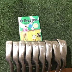Ping Eye 2 Karsten Black Dot Irons Set (2-PW) ZZ Lite Steel Shafts