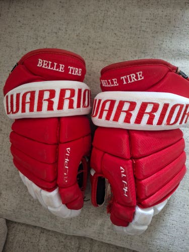 Warrior Gloves 12" (Used)