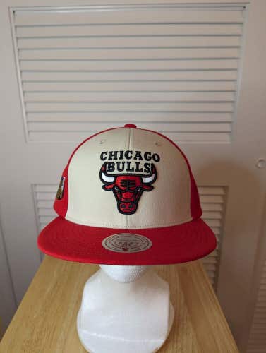 NWS Chicago Bulls Liberty Fit Snapback Hat NBA