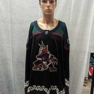 Arizona Coyotes Kachina Jersey Fanatics Breakaway 5XL NHL