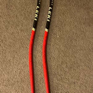 44in (110cm) Racing (Used) World Cup Lite GS Ski Poles