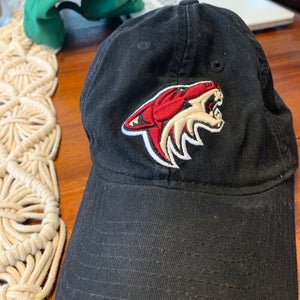 Arizona coyotes hat