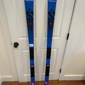 2024 Dynastar 164 cm Racing Speed Team GS Skis Without Bindings (New)