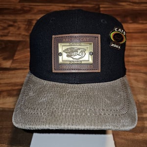Vintage Arctic Cat Snowmobile Cats Pride 2001 American Needle Hat Straback W Pin