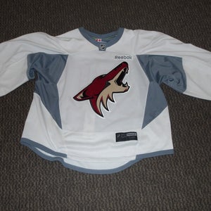 Arizona Coyotes Reebok goalie cut practice jersey