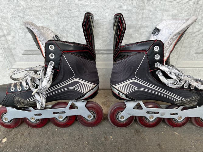 Bauer