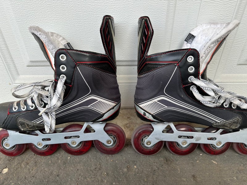 Bauer