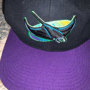 Tampa bay rays