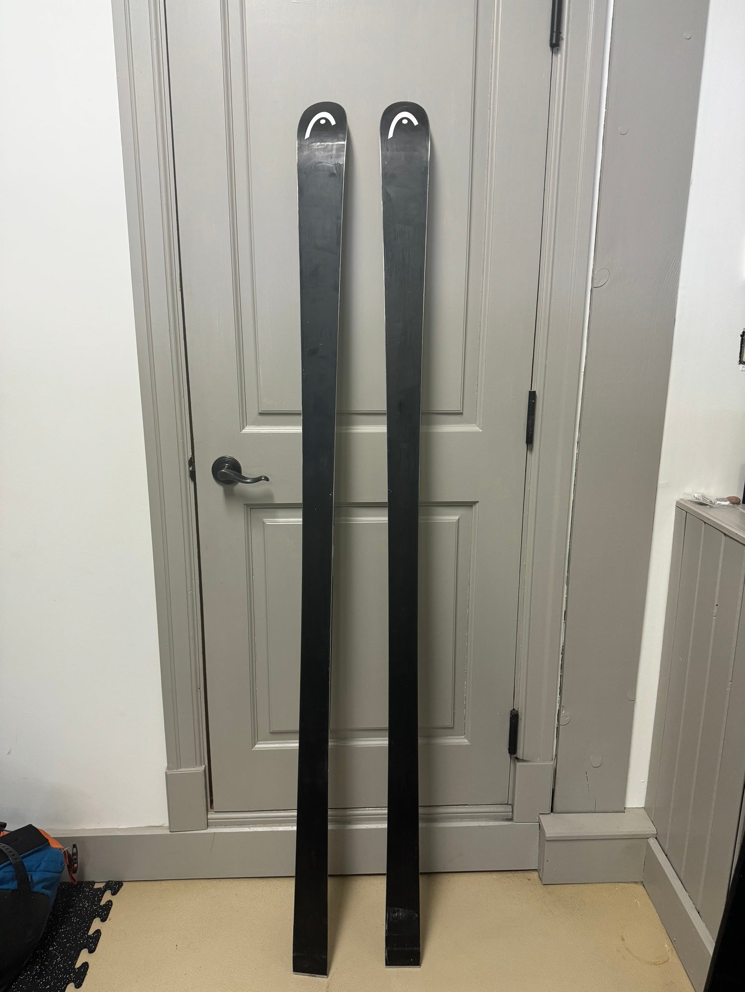 HEAD World Cup Rebels e-GS RD 188 cm Racing Skis | SidelineSwap
