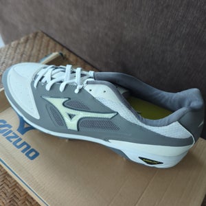 Gray Men's Size M 9.0 (W 10.0) Adult Mizuno Low Top Metal (New)