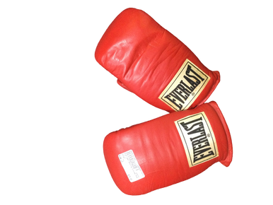 Used Everlast Lg Other Boxing Gloves