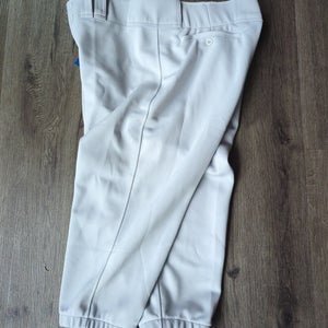 Gray Men's Short XL Adult Mizuno Game Pants (New)