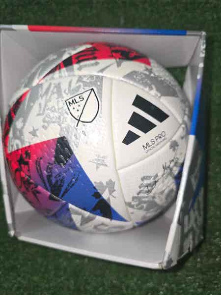 Wilson Evolution Indoor Game Ball