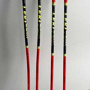 Leki ski poles GS and SL