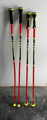 Leki ski poles GS and SL