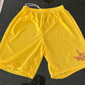 Cardinals Hockey Shorts (Adult XL)