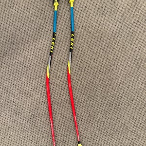 44in (110cm) Leki Racing World Cup - GS Ski Poles (Used)