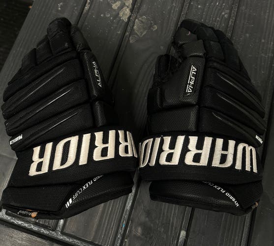 Warrior Alpha QX 14" (Used)