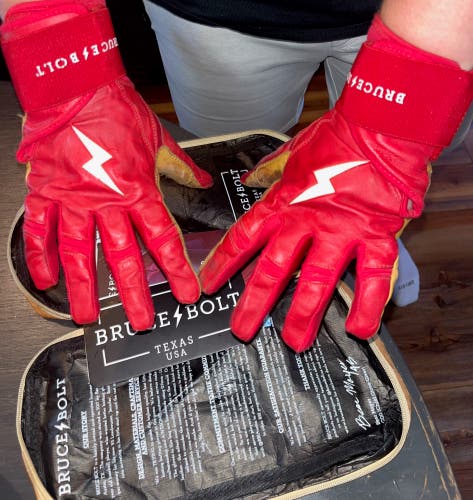 Bruce Bolt Batting Gloves