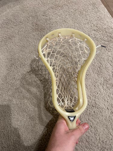 ECD Strung DNA (New)
