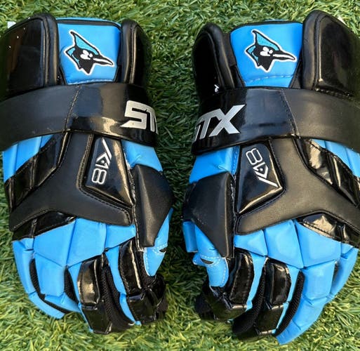 Glove Bundle for OU_Birdman_24