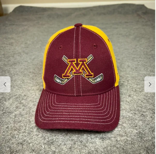 Gophers Hoodie and Hat Bundle
