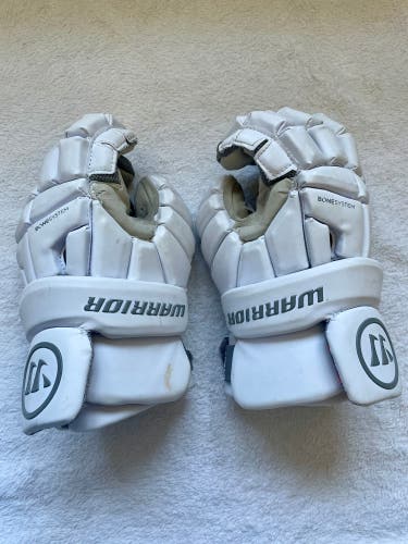 Warrior Burn Medium (Used)