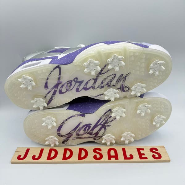 Nike Air Jordan 6 Retro NRG Low Golf US Open Silver Purple