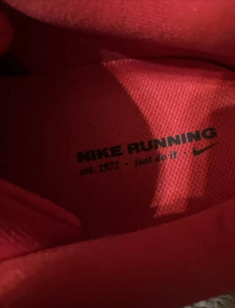NEW Nike Air Zoom Pegasus 41 “University of Georgia Bulldogs” PE FZ5115-600 Size 15