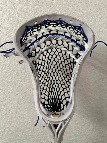 White Silverfin Camber