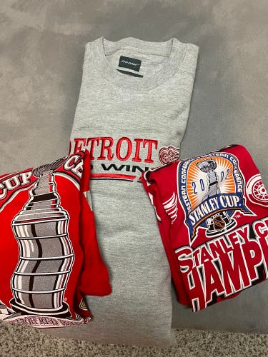 @apolonry Red Wings sweatshirt + 2 t-shirt bundle