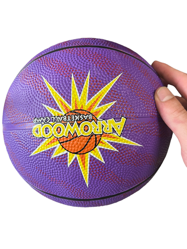 Used Basketballs 11617-S000269313