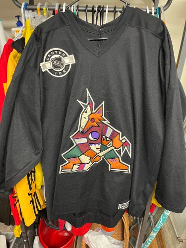 NHL Arizona Coyote Retro Black Practice Jerseys